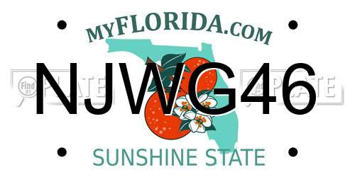 NJWG46 Florida License Plate