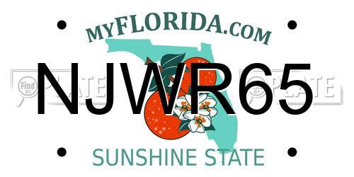 NJWR65 Florida License Plate
