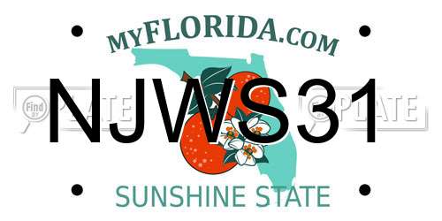NJWS31 Florida License Plate
