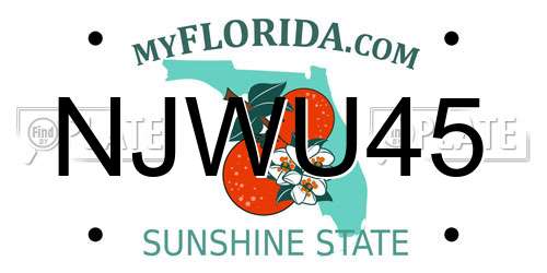 NJWU45 Florida License Plate