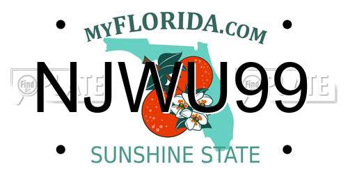 NJWU99 Florida License Plate
