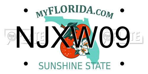 NJXW09 Florida License Plate