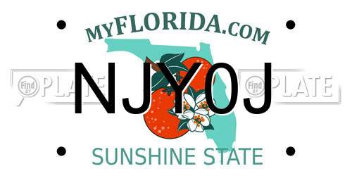 NJY0J Florida License Plate