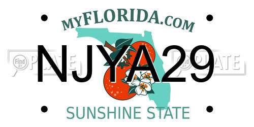 NJYA29 Florida License Plate