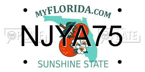 NJYA75 Florida License Plate