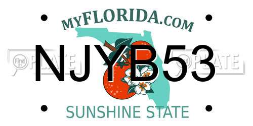 NJYB53 Florida License Plate