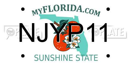 NJYP11 Florida License Plate