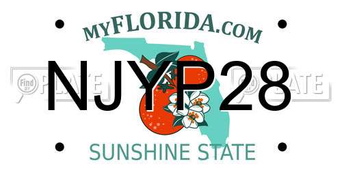 NJYP28 Florida License Plate
