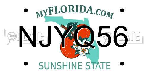 NJYQ56 Florida License Plate