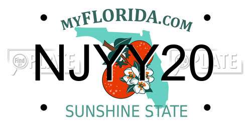 NJYY20 Florida License Plate