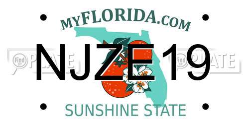 NJZE19 Florida License Plate