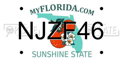 NJZF46 Florida License Plate