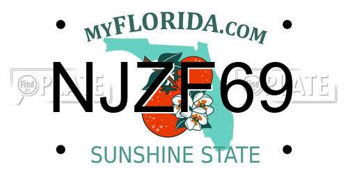 NJZF69 Florida License Plate