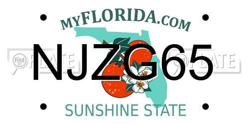 NJZG65 Florida License Plate