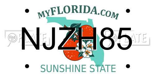 NJZH85 Florida License Plate