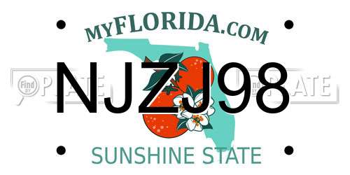 NJZJ98 Florida License Plate
