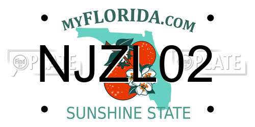 NJZL02 Florida License Plate