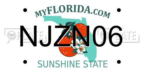 NJZN06 Florida License Plate