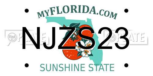 NJZS23 Florida License Plate