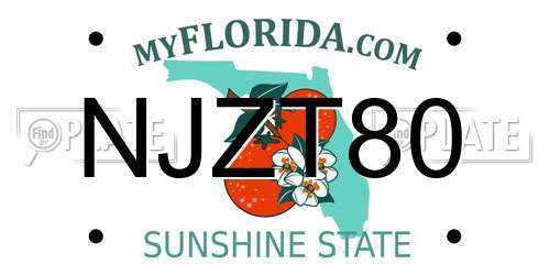 NJZT80 Florida License Plate