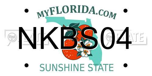 NKBS04 Florida License Plate