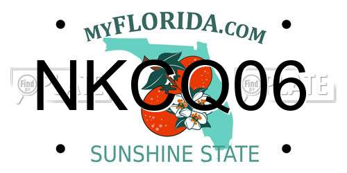 NKCQ06 Florida License Plate