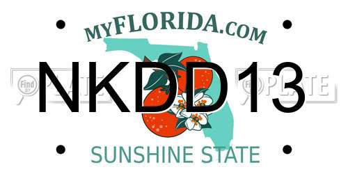 NKDD13 Florida License Plate