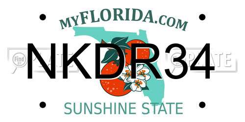 NKDR34 Florida License Plate