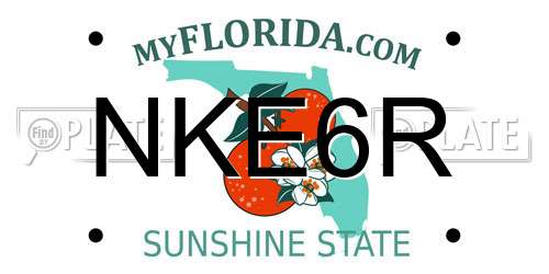 NKE6R Florida License Plate