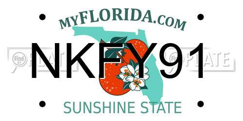 NKFY91 Florida License Plate