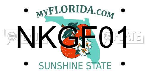 NKGF01 Florida License Plate