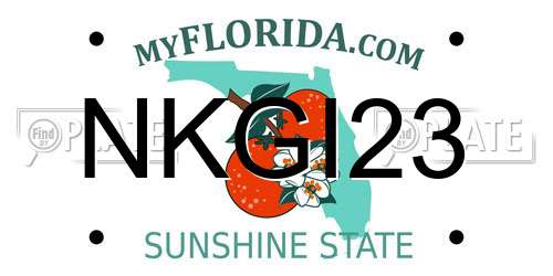 NKGI23 Florida License Plate