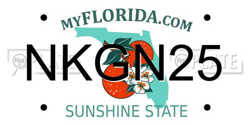 NKGN25 Florida License Plate
