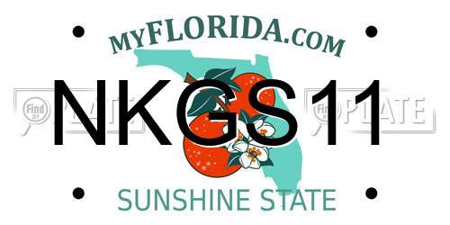 NKGS11 Florida License Plate