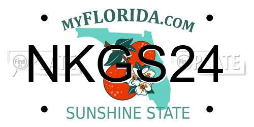 NKGS24 Florida License Plate