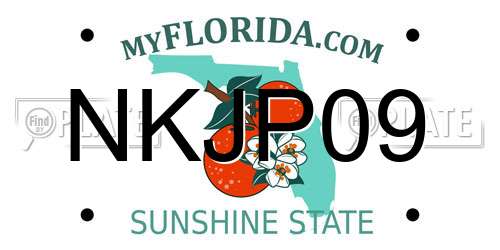 NKJP09 Florida License Plate