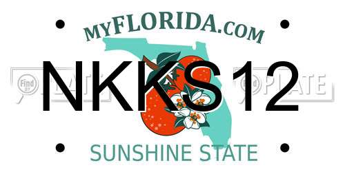 NKKS12 Florida License Plate