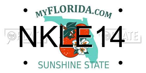 NKLE14 Florida License Plate
