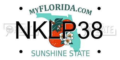 NKLP38 Florida License Plate