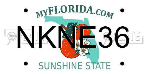 NKNE36 Florida License Plate