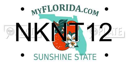 NKNT12 Florida License Plate