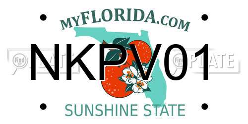 NKPV01 Florida License Plate