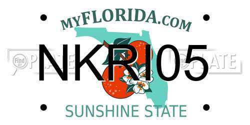 NKRI05 Florida License Plate