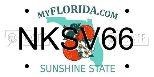NKSV66 Florida License Plate