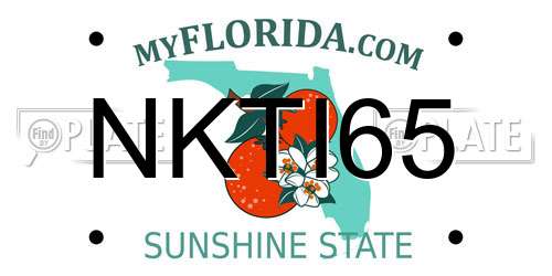 NKTI65 Florida License Plate