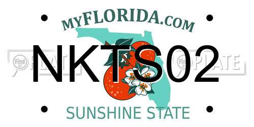 NKTS02 Florida License Plate