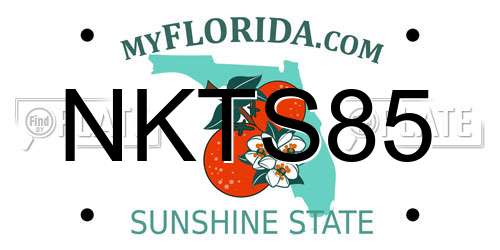 NKTS85 Florida License Plate