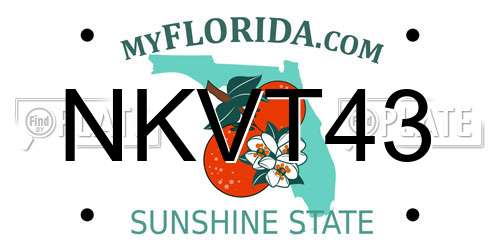 NKVT43 Florida License Plate