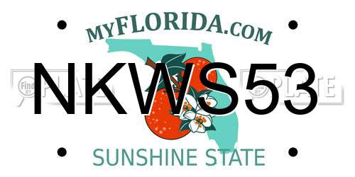 NKWS53 Florida License Plate
