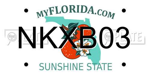 NKXB03 Florida License Plate
